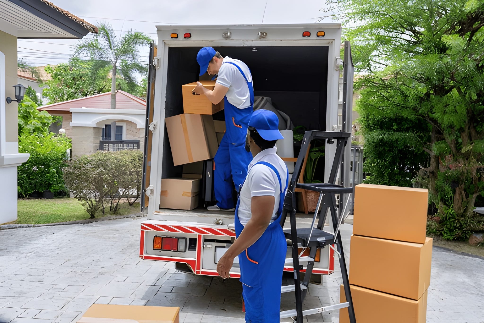 What We do What We do